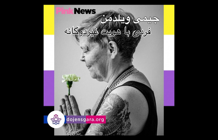 جیمی ویلدمن: فردی با هویت غیردوگانه