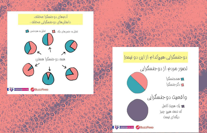 نمودارهایی از حقایق زندگی دوجنسگرایان
