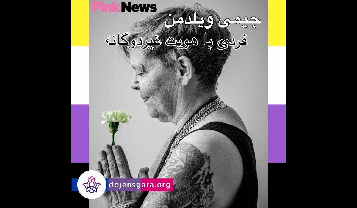 جیمی ویلدمن: فردی با هویت غیردوگانه