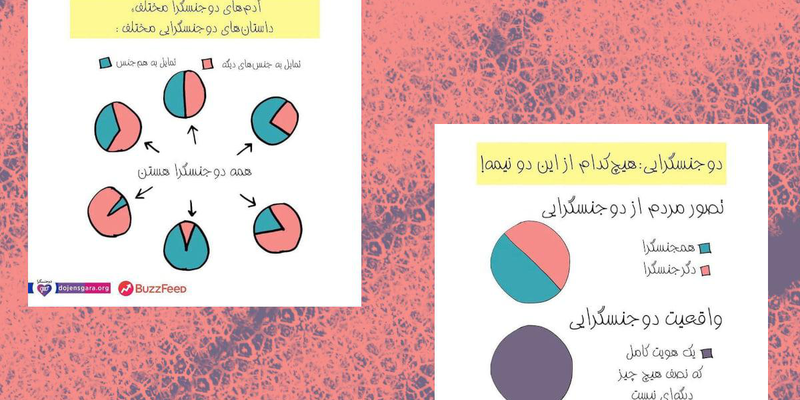نمودارهایی از حقایق زندگی دوجنسگرایان