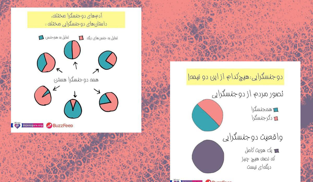 نمودارهایی از حقایق زندگی دوجنسگرایان