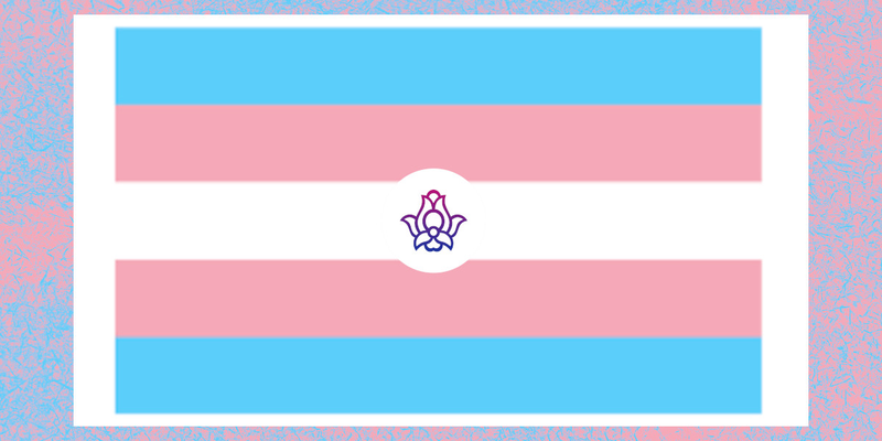 آیا افراد ترنس از دنیای دوستیابی حذف شدهاند؟